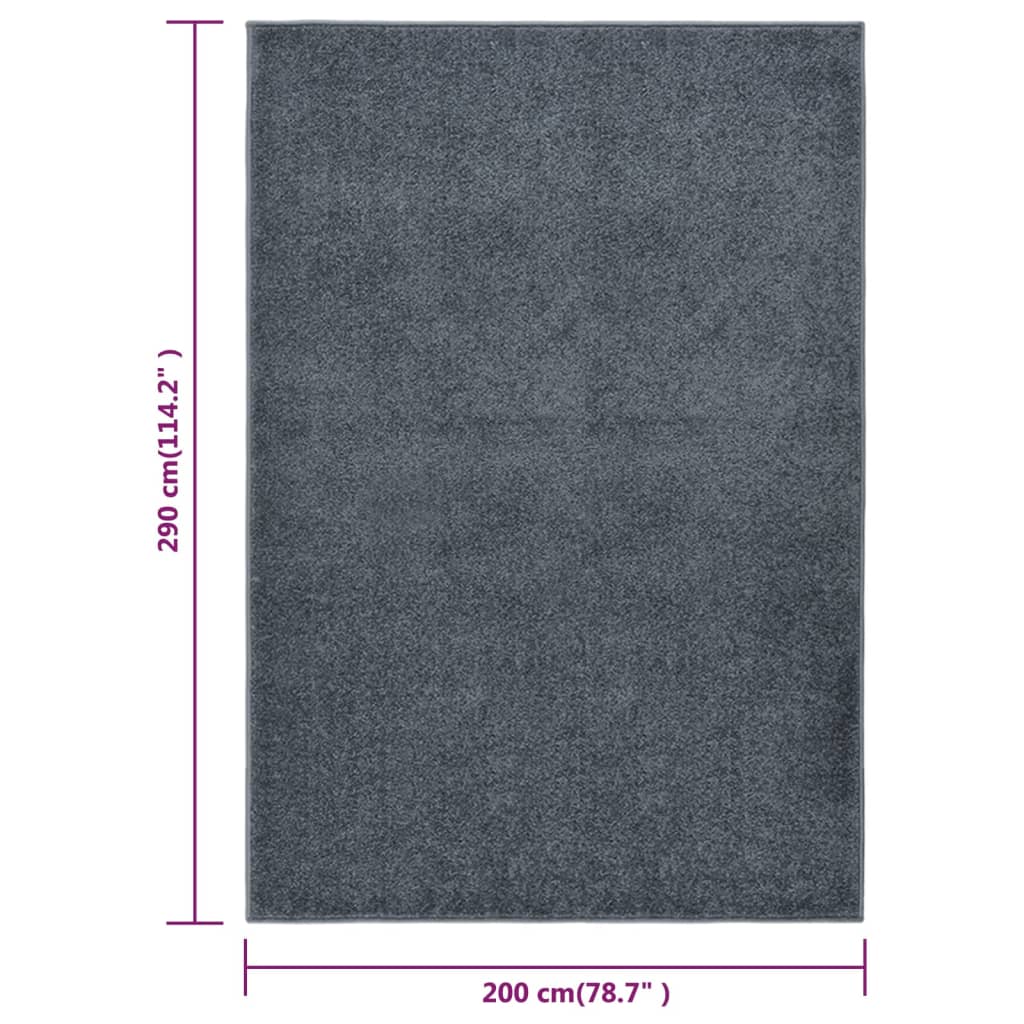 Vloerkleed kortpolig 200x290 cm antracietkleurig