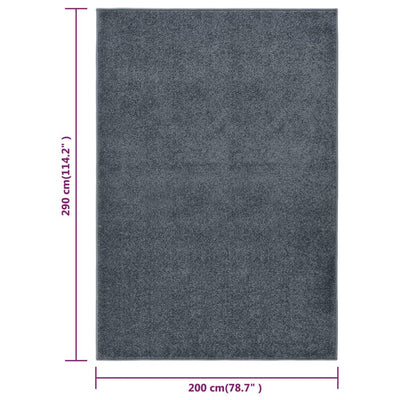 Vloerkleed kortpolig 200x290 cm antracietkleurig