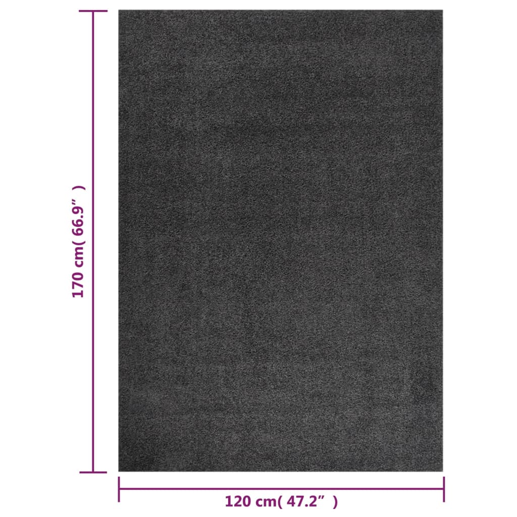 Vloerkleed shaggy hoogpolig 120x170 cm antracietkleurig