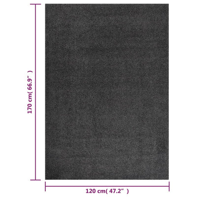 Vloerkleed shaggy hoogpolig 120x170 cm antracietkleurig
