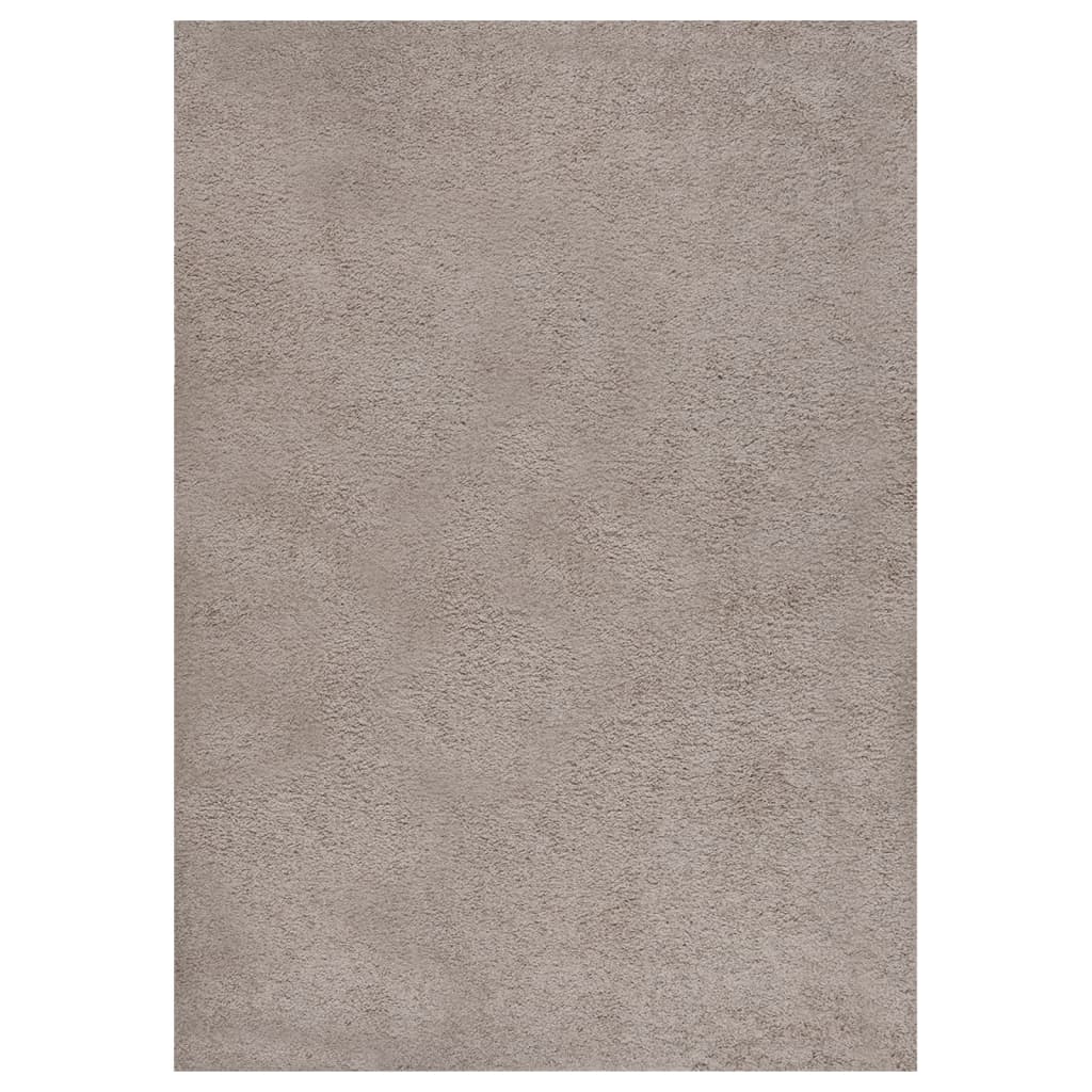 Vloerkleed shaggy hoogpolig 120x170 cm beige