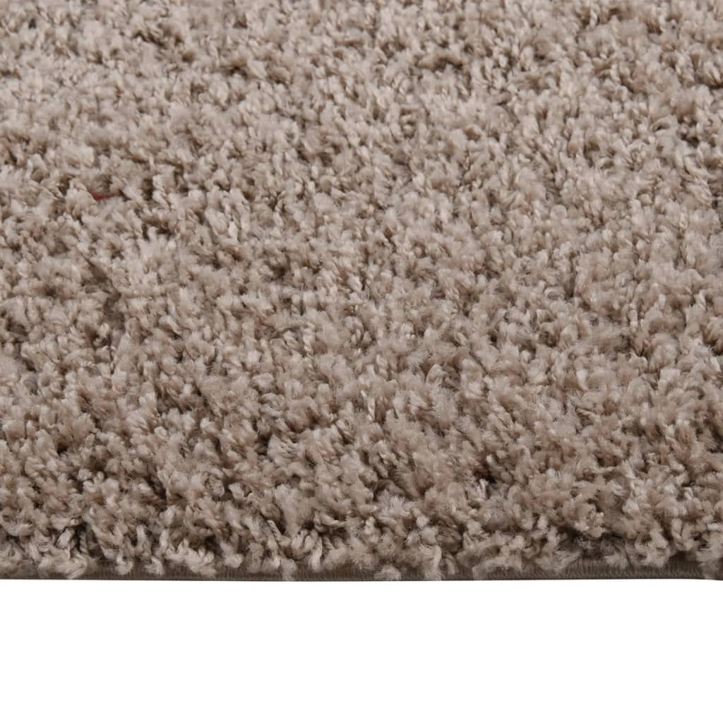 Vloerkleed shaggy hoogpolig 120x170 cm beige