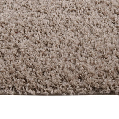 Vloerkleed shaggy hoogpolig 120x170 cm beige