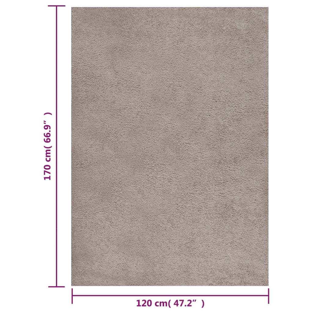 Vloerkleed shaggy hoogpolig 120x170 cm beige