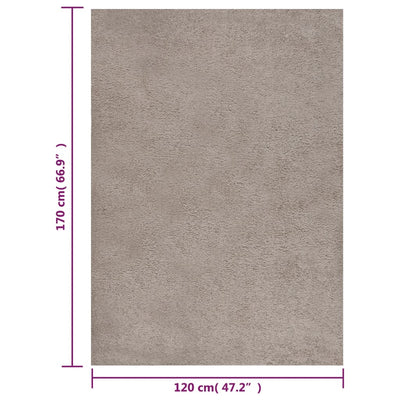 Vloerkleed shaggy hoogpolig 120x170 cm beige