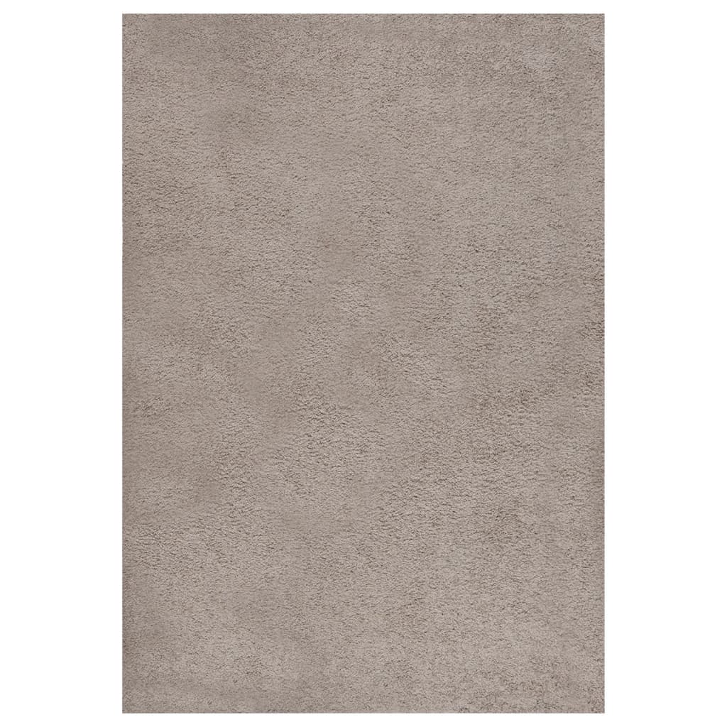 Vloerkleed shaggy hoogpolig 160x230 cm beige