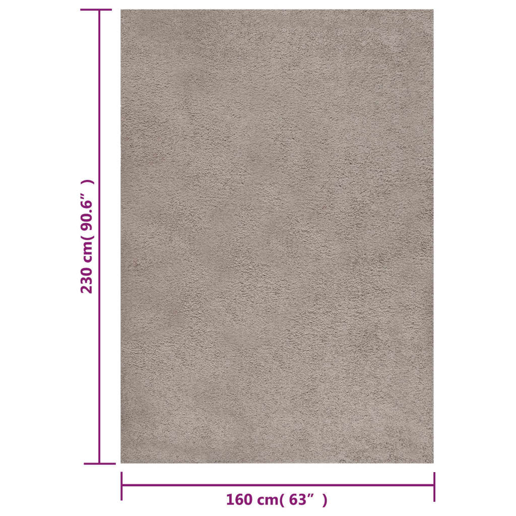 Vloerkleed shaggy hoogpolig 160x230 cm beige