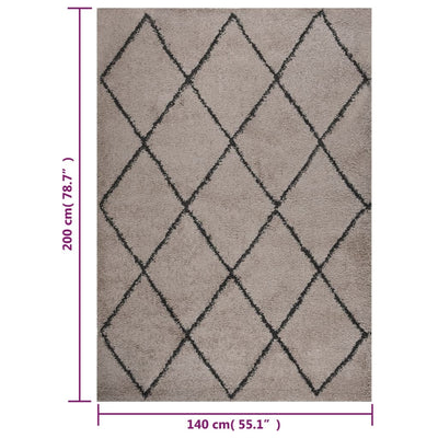 Vloerkleed shaggy hoogpolig 140x200 cm beige en antracietkleur