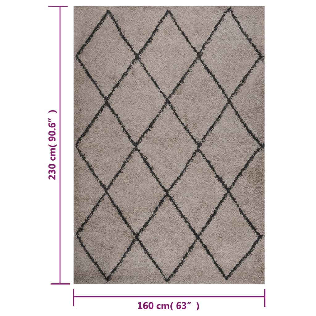Vloerkleed shaggy hoogpolig 160x230 cm beige en antracietkleur