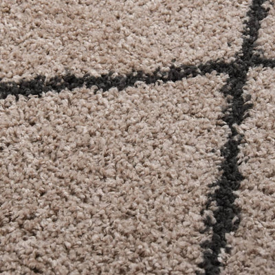 Vloerkleed shaggy hoogpolig 200x290 cm beige en antracietkleur