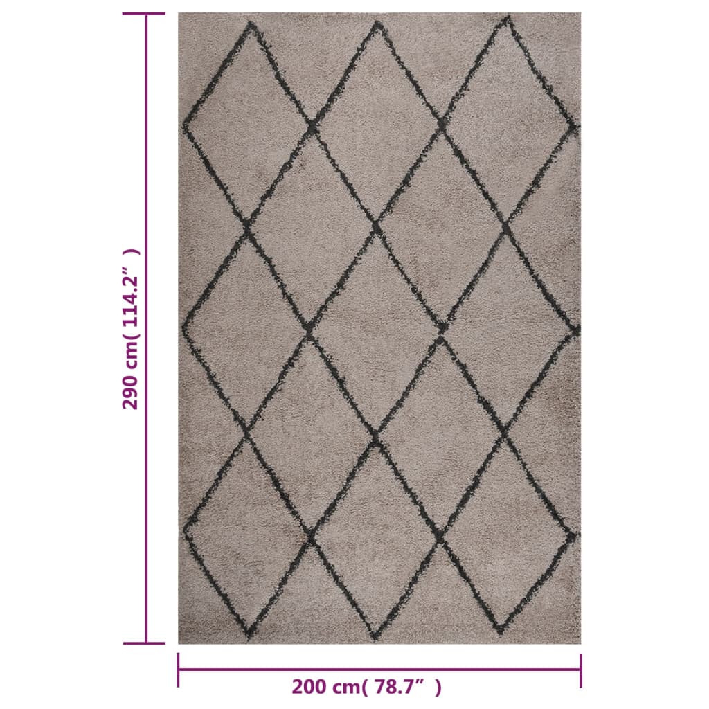 Vloerkleed shaggy hoogpolig 200x290 cm beige en antracietkleur