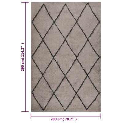 Vloerkleed shaggy hoogpolig 200x290 cm beige en antracietkleur